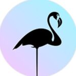 Flamingueo brand logo