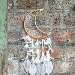 Dream Hunt Moon dromenvanger